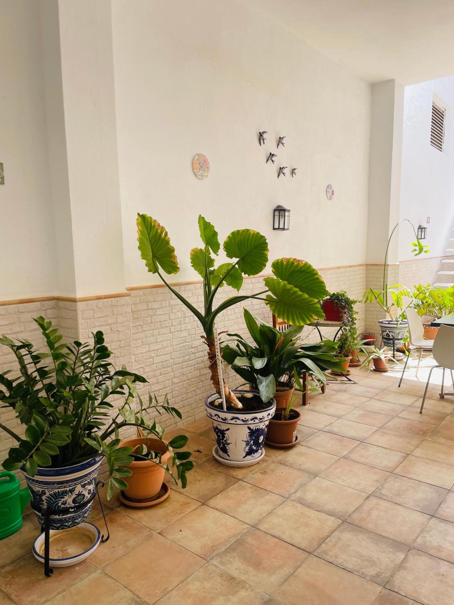 Patio De Los Barberos Valle de Abdalagís المظهر الخارجي الصورة